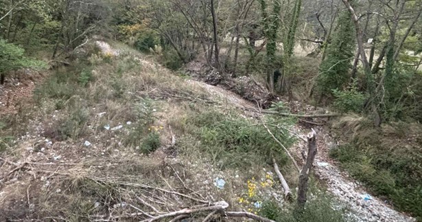 Εργασίες απομάκρυνσης των προσβεβλημένων πλατάνων από την κοίτη του Βοιωτικού Κηφισού
