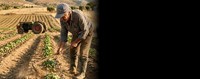 Μέχρι τα τέλη Σεπτεμβρίου θα γίνει πληρωμή de minimis της μηδικής, ποιες άλλες πληρωμές είναι σε αναμονή