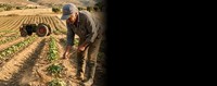 Λευκός καπνός για το ΚΑΕΚ στις φετινές δηλωσεις ΟΣΔΕ