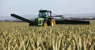 Αγροτικό πετρέλαιο: Νέοι κανόνες ανεφοδιασμού για χιλιάδες παραγωγούς - Τα όρια και οι δικαιούχοι της έκπτωσης Αγροτικό πετρέλαιο: Νέοι κανόνες ανεφοδιασμού για χιλιάδες παραγωγούς - Τα όρια και οι δικαιούχοι της έκπτωσης