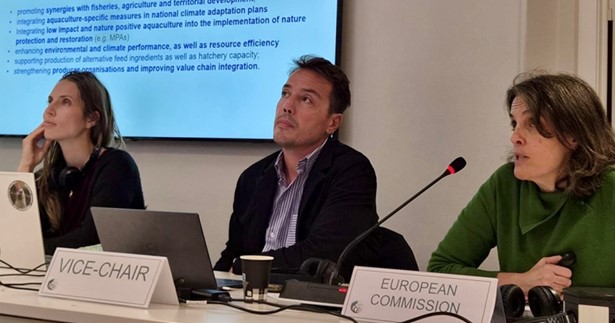 Το όραμα 2025 της Κομισιόν για την αλιεία και την υδατοκαλλιέργεια Το όραμα 2025 της Κομισιόν για την αλιεία και την υδατοκαλλιέργεια