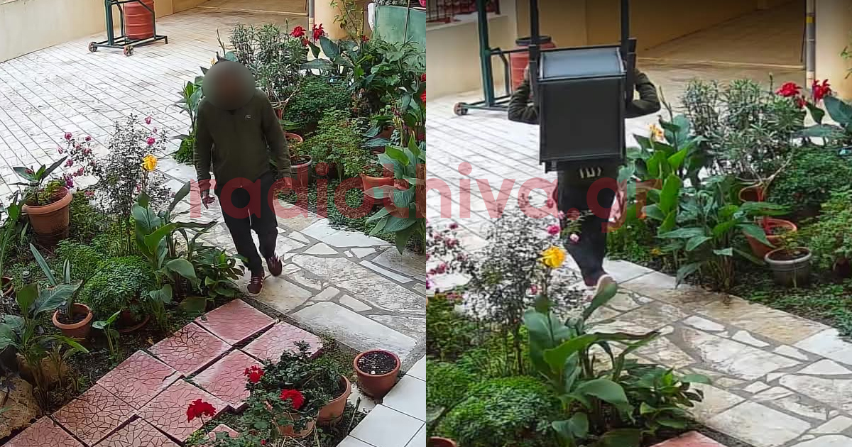 Θήβα: Μπήκε σε αυλή σπιτιού στο κέντρο της πόλης και έκλεψε καρέκλες - Καταγράφηκε από κάμερα ασφαλείας