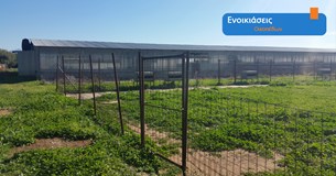 Ενοικιάζεται έκταση 30.000 τ.μ. στον Νόμο Βοιωτίας Ενοικιάζεται έκταση 30.000 τ.μ. στον Νόμο Βοιωτίας
