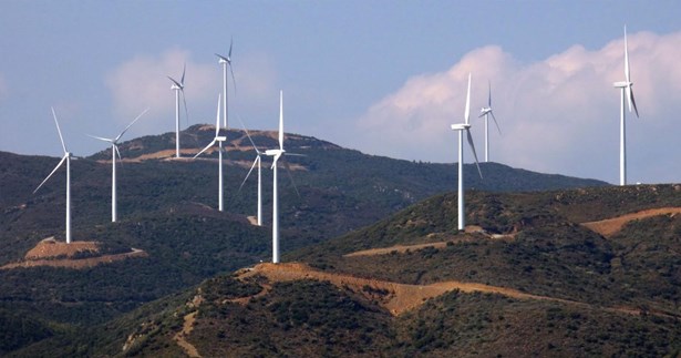 Η Λ.Σ. Στερεάς σχολιάζει την τοποθέτηση ανεμογεννητριών στη «Μεγάλη Λούτσα»
