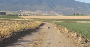 Την διατήρηση των αγροτικών δρόμων ζητά ο Δήμος Λεβαδέων από τους αγρότες