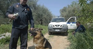 Εξαφανίστηκαν δύο άνδρες στη Φθιώτιδα - Βρέθηκαν ρούχα γεμάτα αίματα Εξαφανίστηκαν δύο άνδρες στη Φθιώτιδα - Βρέθηκαν ρούχα γεμάτα αίματα