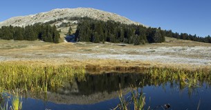 Οι Προστατευόμενες Περιοχές Natura Οίτης-Σπερχειού-Μαλιακού ένα από τα πιο πλούσια οικοσυστήματα της χώρας μας Οι Προστατευόμενες Περιοχές Natura Οίτης-Σπερχειού-Μαλιακού ένα από τα πιο πλούσια οικοσυστήματα της χώρας μας